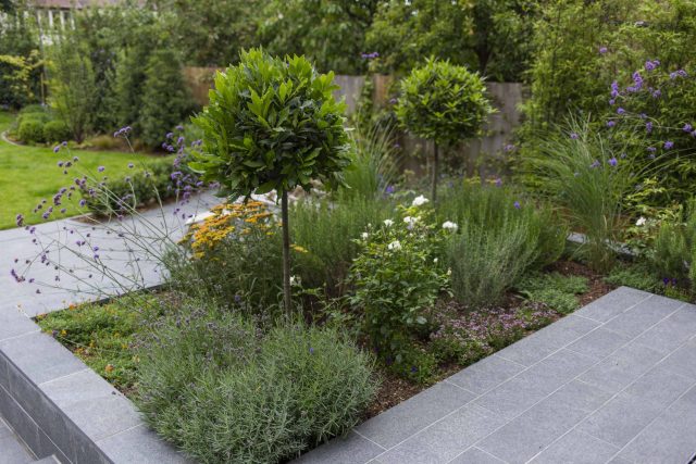Family Garden, upper and lower stone terrance, wrapped with lawn, hidden trampoline Basalt terraces woodland planting Muswell Hill London design specialists.
