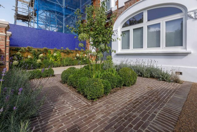 Family garden design in Barnes West London, lawn space as possible for various play activities and an intimate dining area with pleached Quercus Ilex trees.