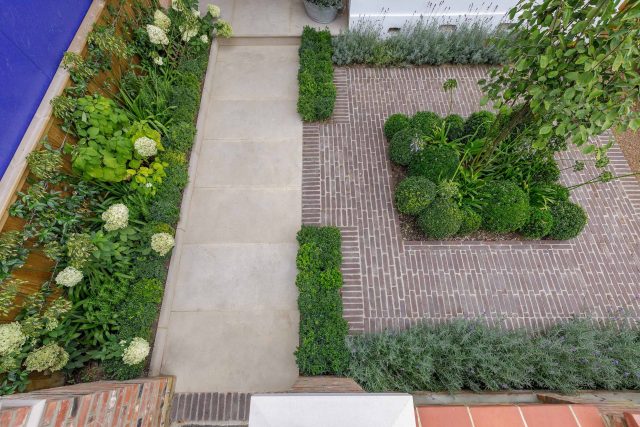 Family garden design in Barnes West London, lawn space as possible for various play activities and an intimate dining area with pleached Quercus Ilex trees.