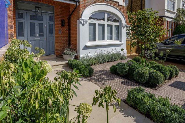 Family garden design in Barnes West London, lawn space as possible for various play activities and an intimate dining area with pleached Quercus Ilex trees.
