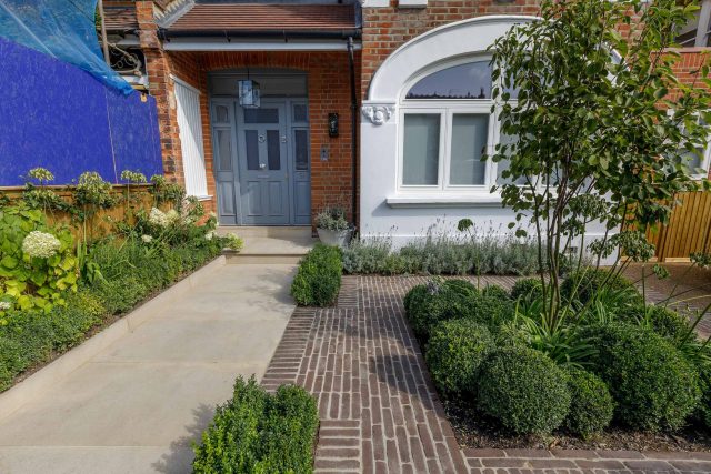 Family garden design in Barnes West London, lawn space as possible for various play activities and an intimate dining area with pleached Quercus Ilex trees.