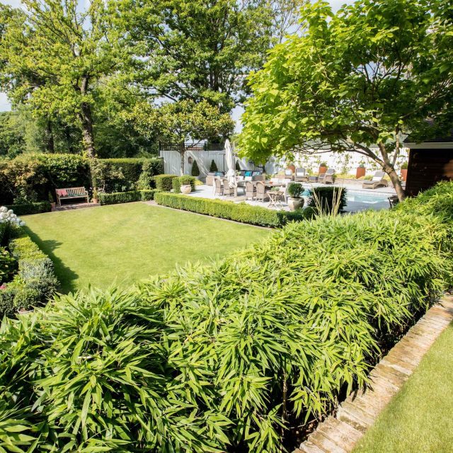 Garden Design Highgate North London Garden Designer Landscape Contractor, complimentary family style garden planting scheme also consisting diagonal brickwork.