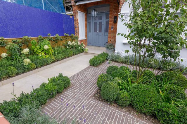 Family garden design in Barnes West London, lawn space as possible for various play activities and an intimate dining area with pleached Quercus Ilex trees.