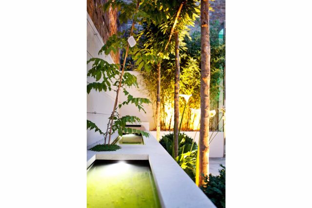 Minimalist yet modern sophisticated by Garden Designer Kate Gould - Palace Gardens Terrace, South Kensington, constructed by Garden Building landscapers.