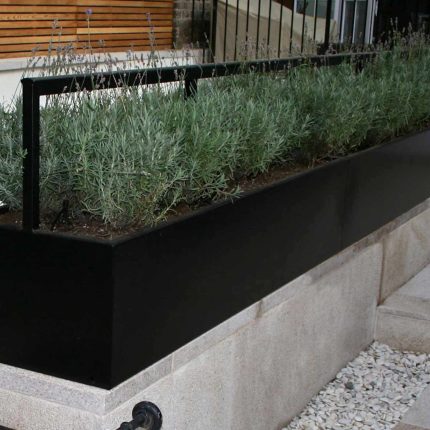 Garden Designer Chelsea Chic Modern Refinement Charm Landscape Contractor with steps sleek lines and flooring was laid with white limestone by Declan Buckley.
