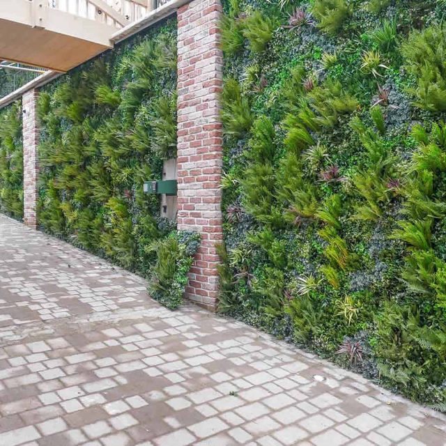 Natural green walls are not only fashionable, having a natural green wall entails, rightful enthusiasm should be balanced by sober education.