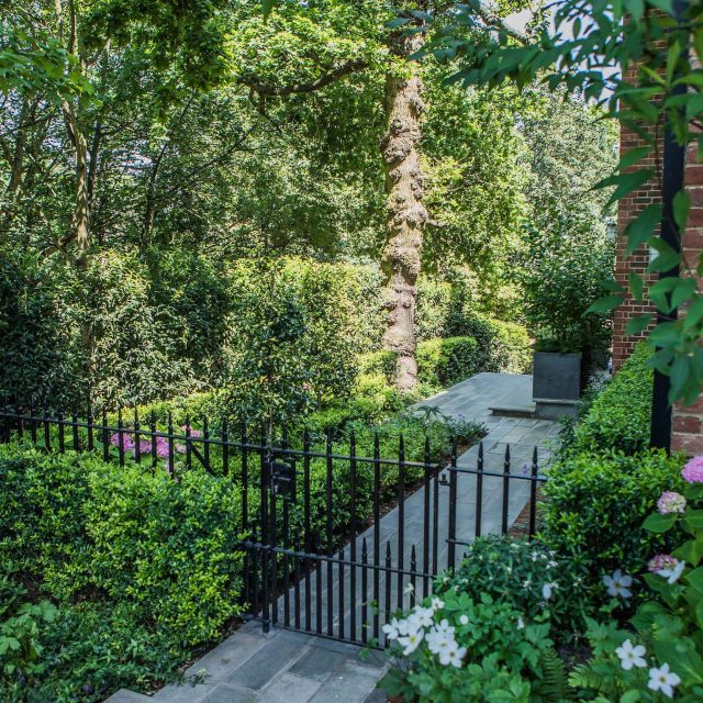 Garden design with traditional style railings and gate to match the characteristics of the Hampstead area in which the house sits, thoughtful lower planting.