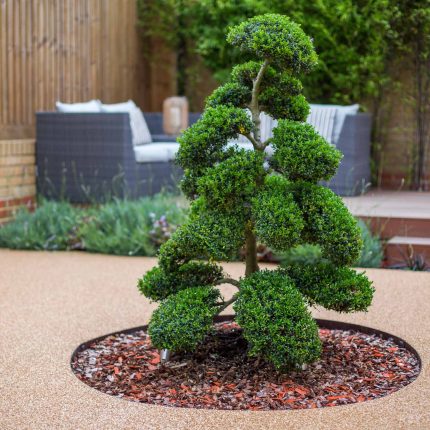 Japanese Style Garden