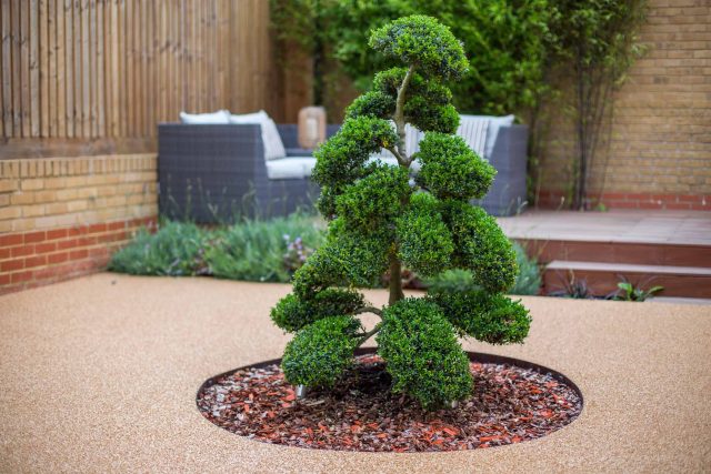 Japanese style garden, designed and constructed by The Garden Builders floor levels and planting geometry white porcelain tiles landscape company wood decking.