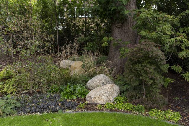 Family Garden, upper and lower stone terrance, wrapped with lawn, hidden trampoline Basalt terraces woodland planting Muswell Hill London design specialists.