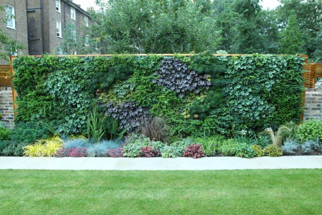 Contemporary Family Garden Design in St Johns Wood Designed and Constructed by The Garden Builders London contracting specialists horticulturalist company.