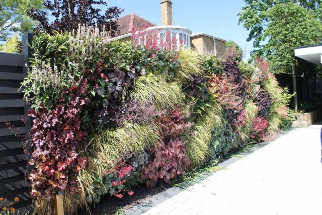 Blackheath Design, Hauf House, living green wall, dark granite edge detail, solid Oak automated gates a specialist garden contractors landscaping company.
