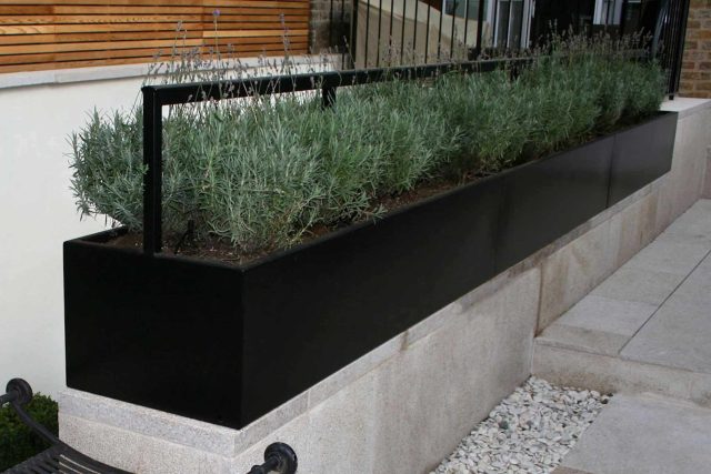 Garden Designer Chelsea Chic Modern Refinement Charm Landscape Contractor with steps sleek lines and flooring was laid with white limestone by Declan Buckley.