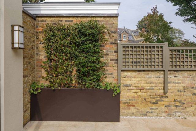 Elegant airy west London traditional contemporary garden by designer Camilla Hiley, urban with rustic country touches landscaping specialists in planting.