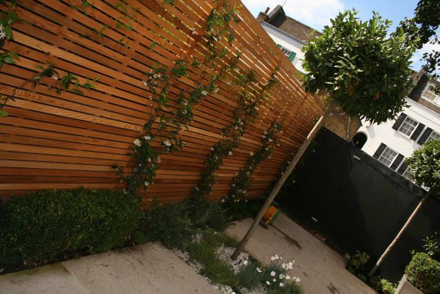 Garden Designer Chelsea Chic Modern Refinement Charm Landscape Contractor with steps sleek lines and flooring was laid with white limestone by Declan Buckley.