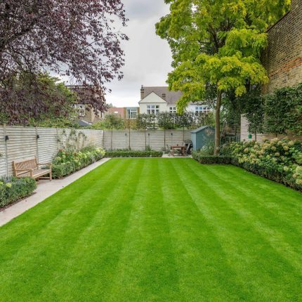 Family garden design in Barnes West London, lawn space as possible for various play activities and an intimate dining area with pleached Quercus Ilex trees.