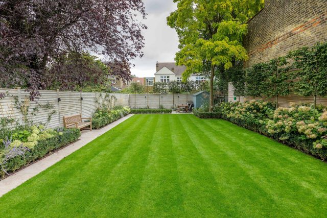Family garden design in Barnes West London, lawn space as possible for various play activities and an intimate dining area with pleached Quercus Ilex trees.