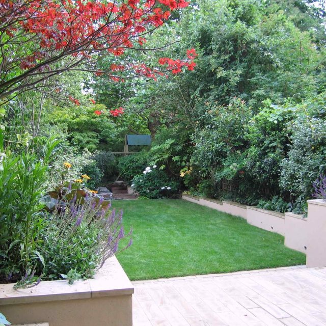 Steep Garden Highgate, large asymmetrical raised rendered planting beds, lawn and garden terrace specialist company, asymmetric raised planting beds, planting.