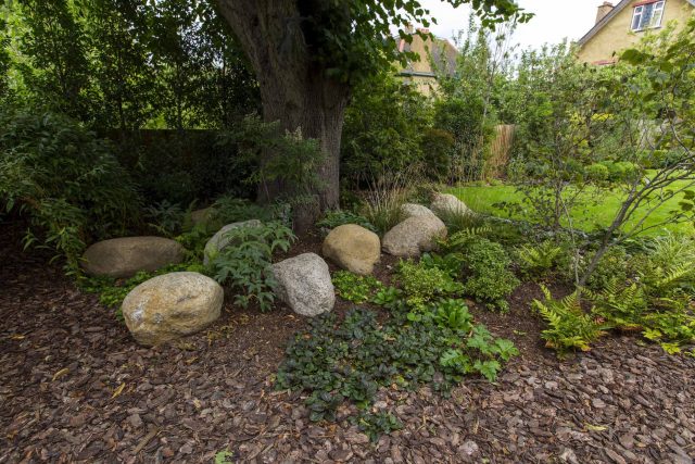 Family Garden, upper and lower stone terrance, wrapped with lawn, hidden trampoline Basalt terraces woodland planting Muswell Hill London design specialists.