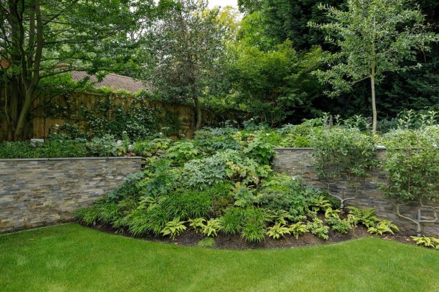 Large family garden design with outdoor kitchen, terrace, lighting, evergreens, lawn and stone-clad retaining wall designers specialist contractors in London.