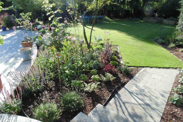 Blackheath Design, Hauf House, living green wall, dark granite edge detail, solid Oak automated gates a specialist garden contractors landscaping company.
