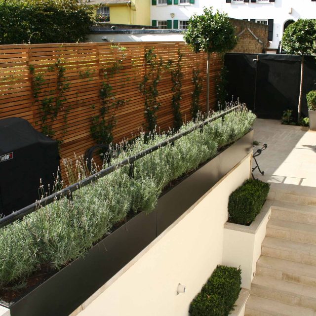 Garden Designer Chelsea Chic Modern Refinement Charm Landscape Contractor with steps sleek lines and flooring was laid with white limestone by Declan Buckley.