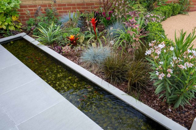Japanese style garden, designed and constructed by The Garden Builders floor levels and planting geometry white porcelain tiles landscape company wood decking.