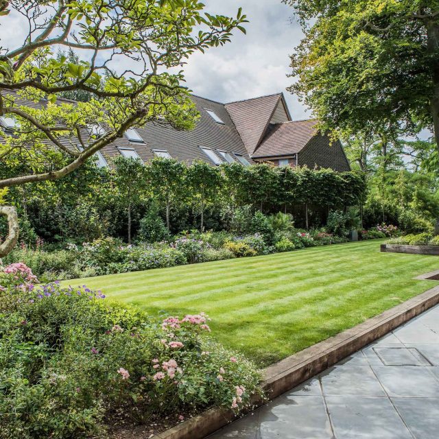 Garden design with traditional style railings and gate to match the characteristics of the Hampstead area in which the house sits, thoughtful lower planting.