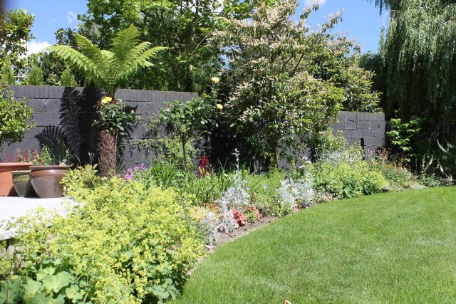 Blackheath Design, Hauf House, living green wall, dark granite edge detail, solid Oak automated gates a specialist garden contractors landscaping company.