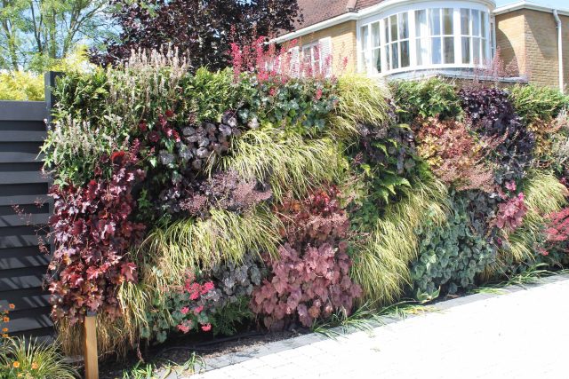 Blackheath Design, Hauf House, living green wall, dark granite edge detail, solid Oak automated gates a specialist garden contractors landscaping company.
