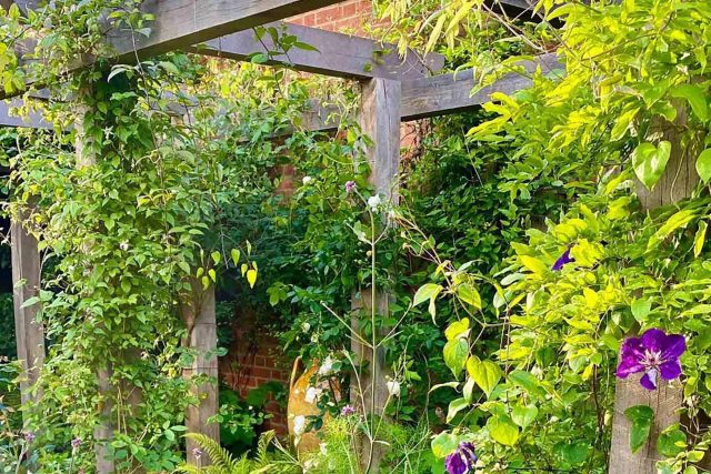 The Garden Builders and Lynne Marcus have teamed up once again to bring to life this incredible garden design in the heart of London. Designed by Lynne Marcus.