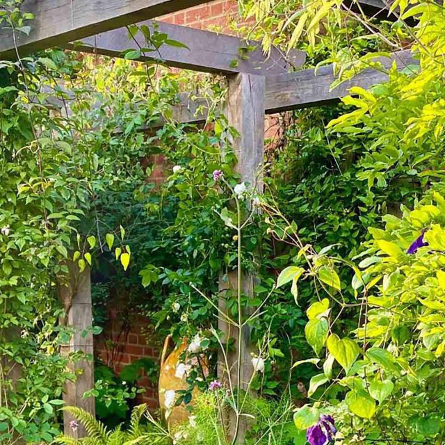 The Garden Builders and Lynne Marcus have teamed up once again to bring to life this incredible garden design in the heart of London. Designed by Lynne Marcus.