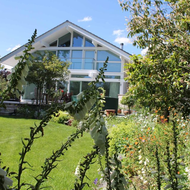 Blackheath Design, Hauf House, living green wall, dark granite edge detail, solid Oak automated gates a specialist garden contractors landscaping company.