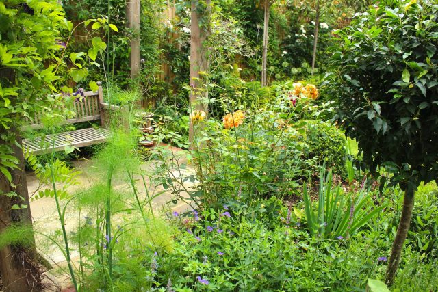 The Garden Builders and Lynne Marcus have teamed up once again to bring to life this incredible garden design in the heart of London. Designed by Lynne Marcus.