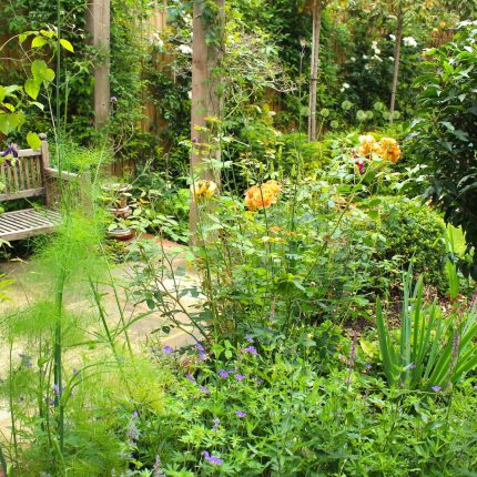 The Garden Builders and Lynne Marcus have teamed up once again to bring to life this incredible garden design in the heart of London. Designed by Lynne Marcus.