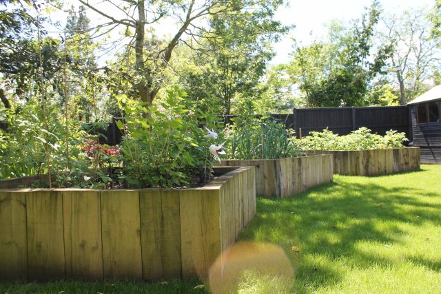 Blackheath Design, Hauf House, living green wall, dark granite edge detail, solid Oak automated gates a specialist garden contractors landscaping company.