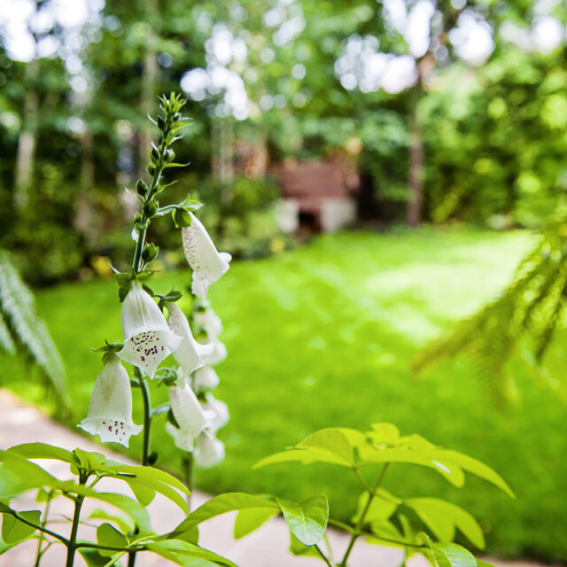 Garden Design, summer is critical for your garden, maintaining your garden every day is key for it to look as perfect as you want it.