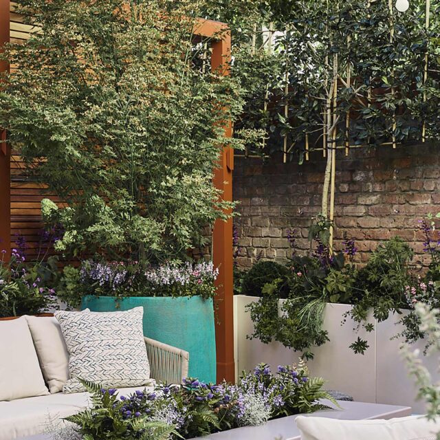 Family garden designer Barnes West London outdoor room kitchen cooking bbq design