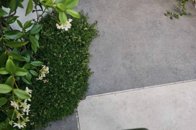 Walton On Thames garden designer kitchen dining, a modern, intimate design for comfort, privacy and outdoor living.