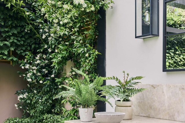 Walton On Thames garden designer kitchen dining, a modern, intimate design for comfort, privacy and outdoor living.