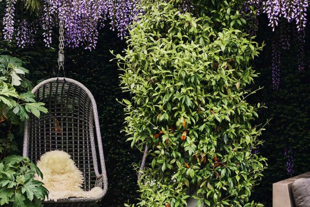 Wandsworth family garden designer modern outdoor create usable space, with a refined sense of structure and tranquillity.